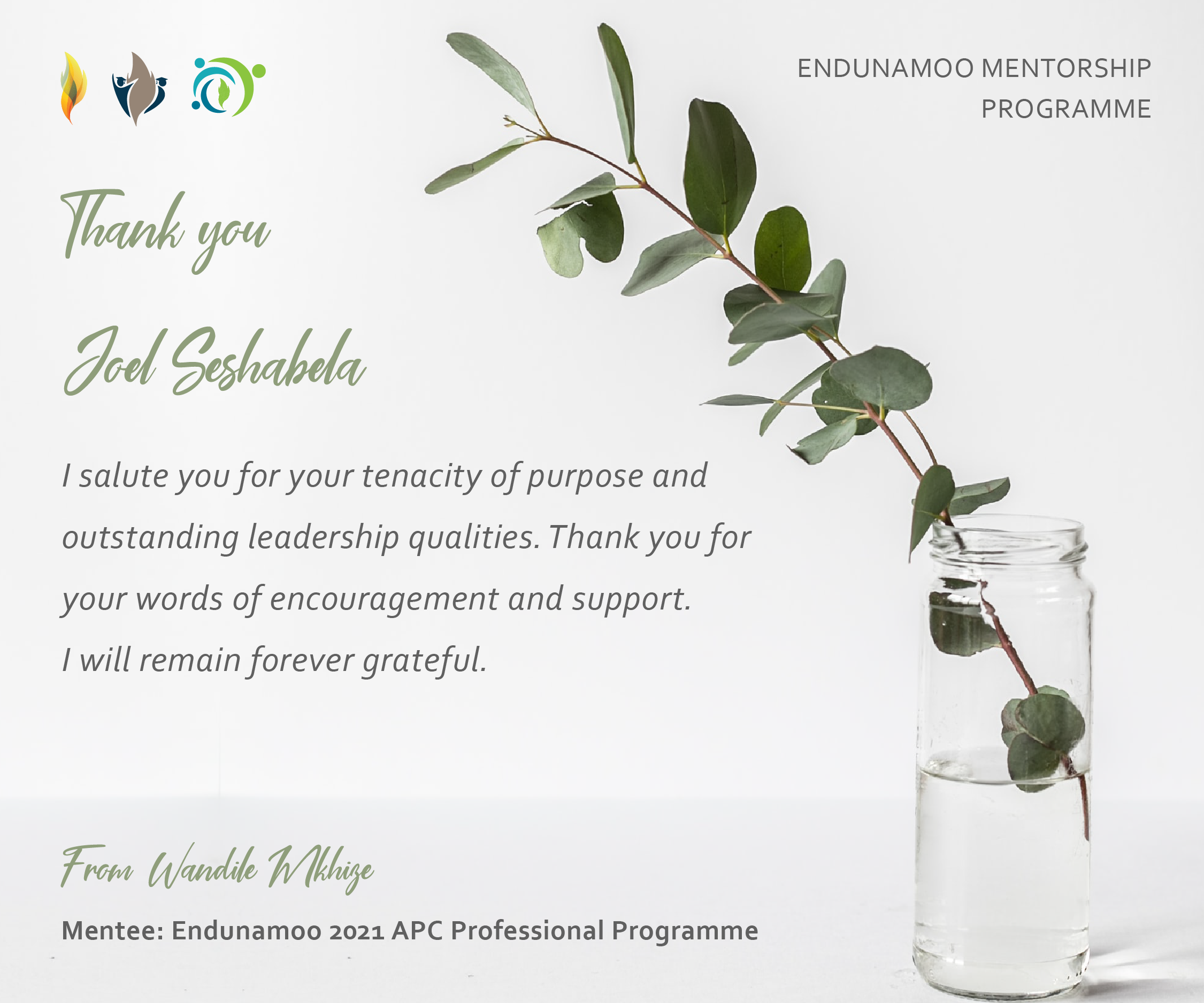 Mentorship   Joel 01