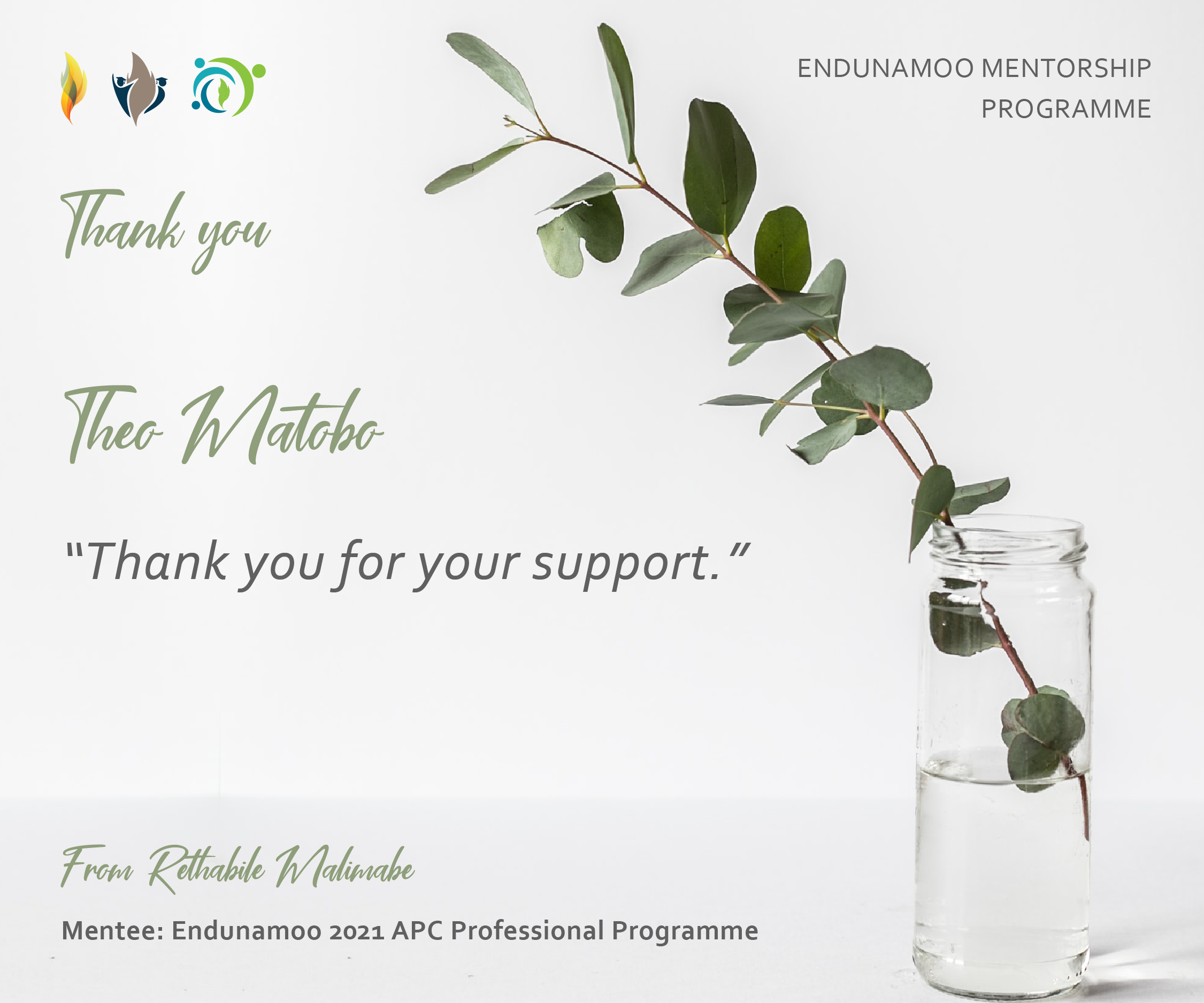 Mentorship   Theo 01[95]