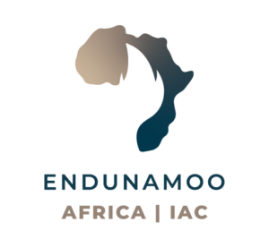 Comprehensive technical and professional programme for IAC candidates