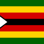 Zim flag